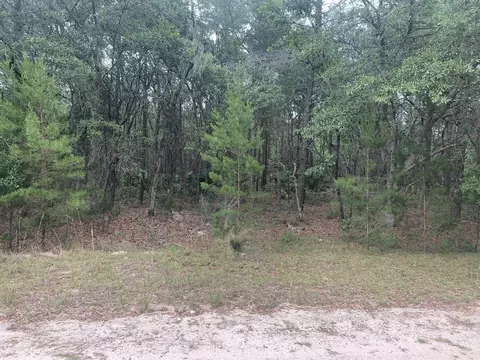 0 Huron, Interlachen, FL 32148
