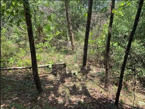 213 Kansas St, Satsuma, FL 32189