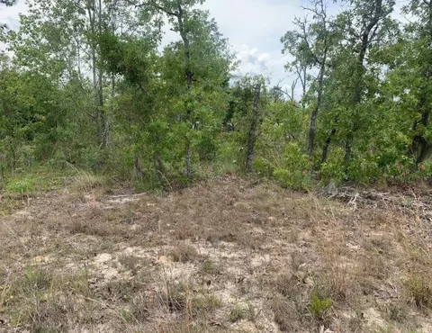 0 Monroe St, Interlachen, FL 32148