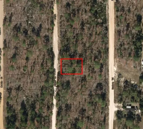 0 Miami St, Interlachen, FL 32148 photo 2