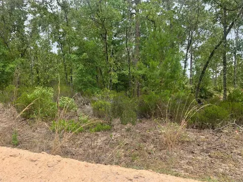 0 Miami St, Interlachen, FL 32148