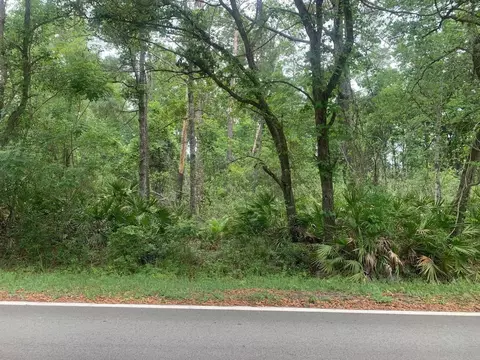 0 Theresa Ave, Interlachen, FL 32148