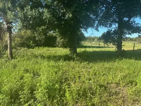 19216 NW 300th St, Okeechobee, FL 34972