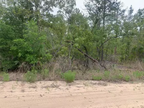 0 May Ln, Interlachen, FL 32148 photo 1