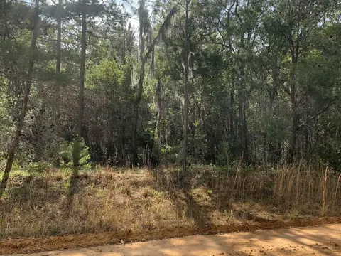 0 Shappell Ave, Interlachen, FL 32148