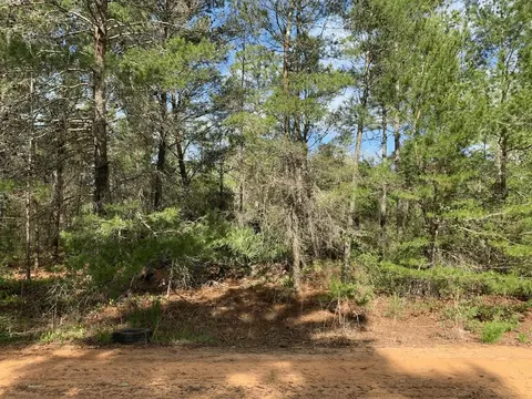 0 Louise Ave, Interlachen, FL 32148