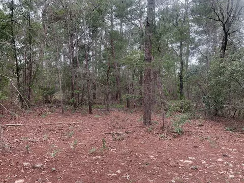 0 Citrus St, Interlachen, FL 32148