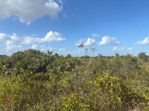 15463 NW 256th St, Okeechobee, FL 34972