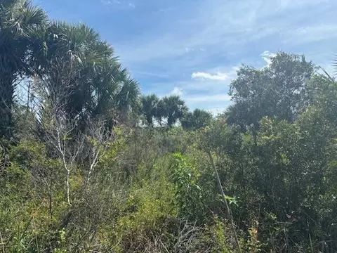 0 NW 310th St, Okeechobee, FL 34972