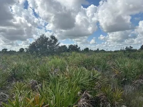 0 NW 314th St, Okeechobee, FL 34972