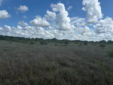 0 290th St, Okeechobee, FL 34972 photo 2