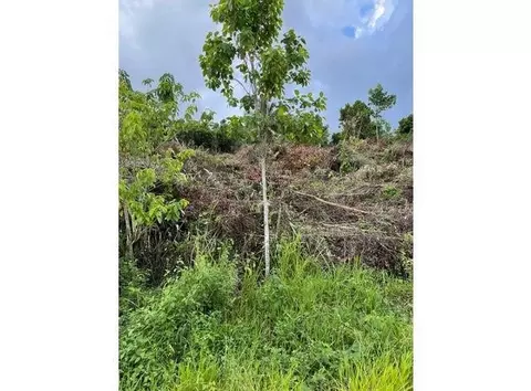 0000 139 Ct, Dunnellon, FL 34432