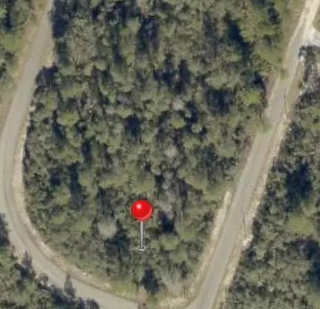 tbd Fisher Way Track Tbd Fisher Way Track Fisher Way, Ocklawaha, FL 32179