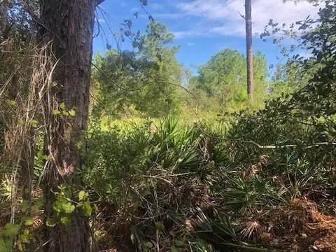 0 Old Grade Rd, Polk City, FL 33868