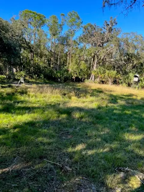 1040 Cracker Hammock, Sebring, FL 33875 photo 4