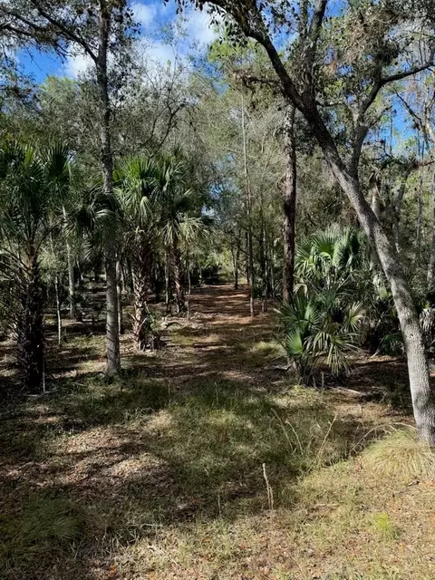 1040 Cracker Hammock, Sebring, FL 33875 photo 10