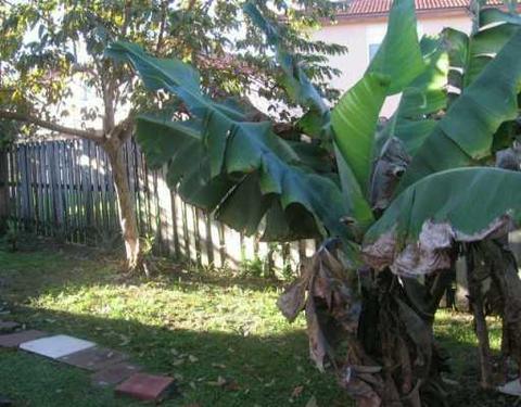 8601 NW 196 Te, Hialeah, FL 33015 photo 8
