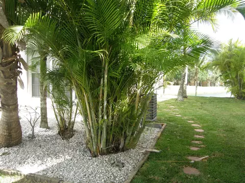 3370 Greenview Ter E, Margate, FL 33063 photo 32