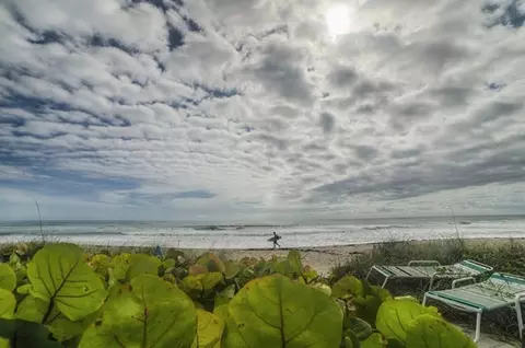 220 Celestial Way #3, Juno Beach, FL 33408 photo 29