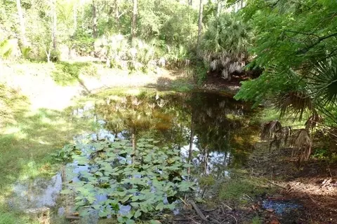 2277 E Rd, Loxahatchee, FL 33470 photo 21