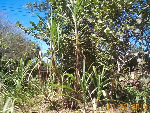 9790 Sandy Run Rd, Jupiter, FL 33478 photo 27