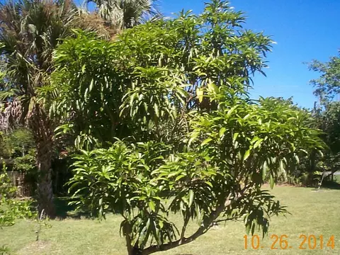 9790 Sandy Run Rd, Jupiter, FL 33478 photo 28