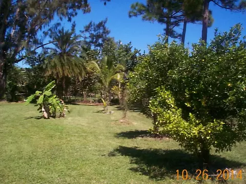 9790 Sandy Run Rd, Jupiter, FL 33478 photo 20