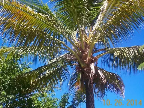 9790 Sandy Run Rd, Jupiter, FL 33478 photo 26