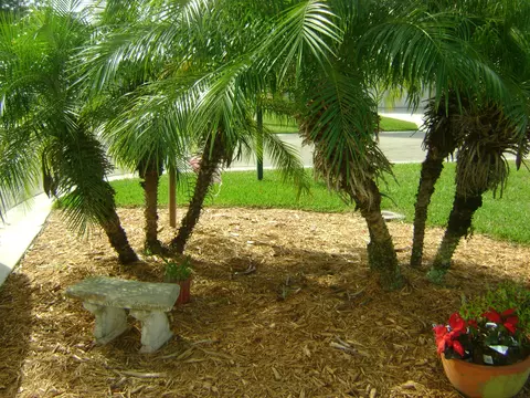 2411 SW Riviera Rd, Stuart, FL 34997 photo 25