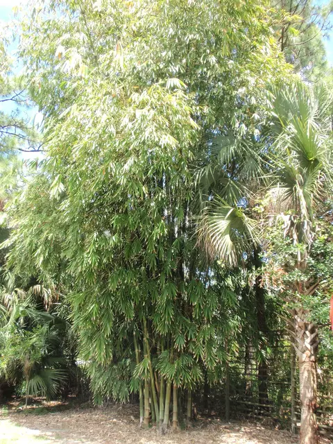 16210 115th Ave N, Jupiter, FL 33478 photo 27
