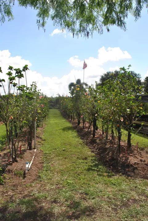 31 E Corkscrew Blvd, Lake Harbor, FL 33459 photo 49