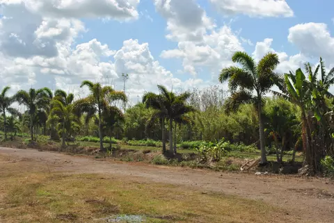 31 E Corkscrew Blvd, Lake Harbor, FL 33459 photo 56