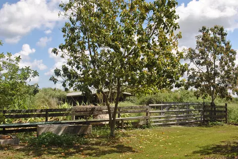 31 E Corkscrew Blvd, Lake Harbor, FL 33459 photo 46