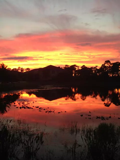 329 SW Otter Run Pl, Stuart, FL 34997 photo 25