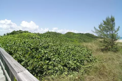 1205 NE Doubloon Dr, Stuart, FL 34996 photo 16