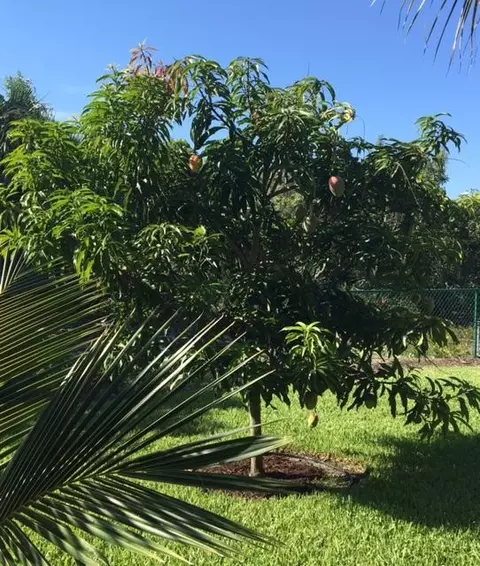 5477 SE Major Way, Stuart, FL 34997 photo 9