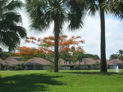 212 E River Park Dr, Jupiter, FL 33477 photo 49