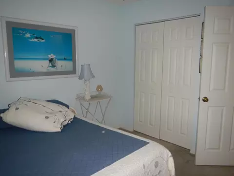 250 Timberwalk Trl, Jupiter, FL 33458 photo 51