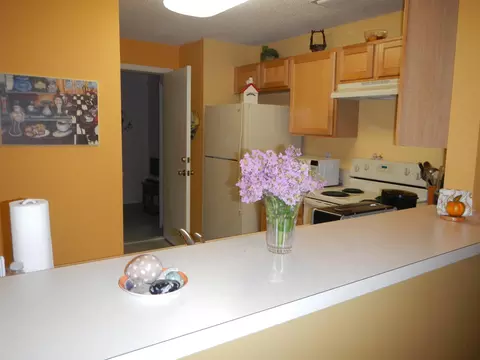 250 Timberwalk Trl, Jupiter, FL 33458 photo 8