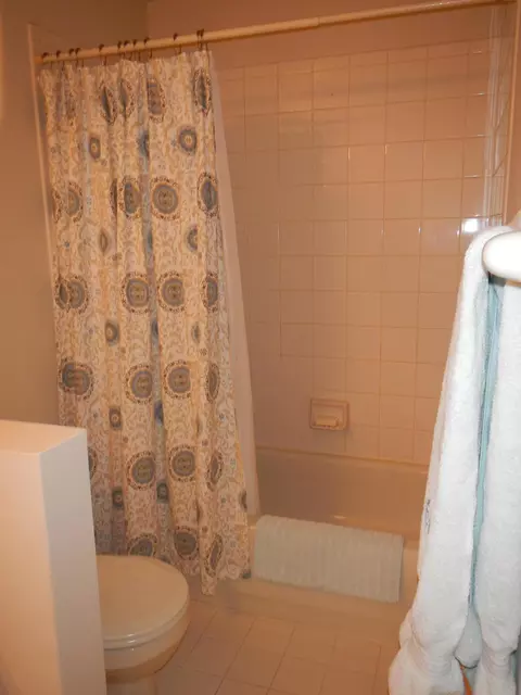 250 Timberwalk Trl, Jupiter, FL 33458 photo 49