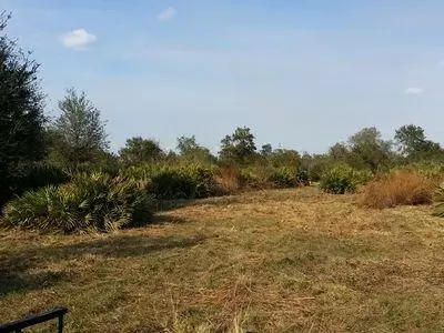 14975 NW 258th St, Okeechobee, FL 34972 photo 9