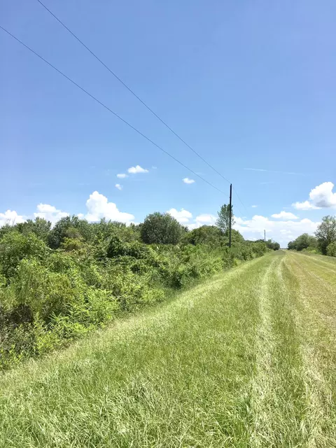 14975 NW 258th St, Okeechobee, FL 34972 photo 5