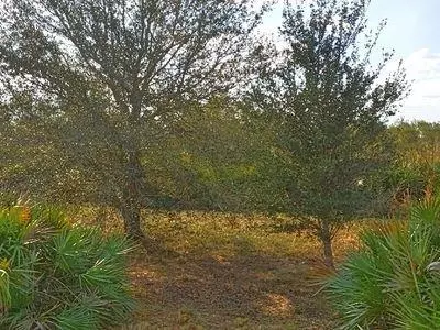 14975 NW 258th St, Okeechobee, FL 34972 photo 11
