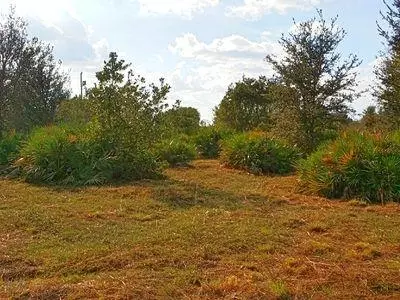 14975 NW 258th St, Okeechobee, FL 34972 photo 8