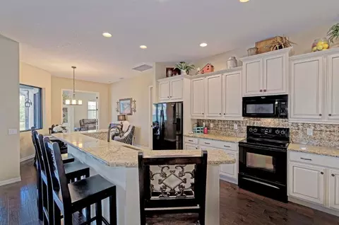 16206 29th Ct E, Parrish, FL 34219 photo 16