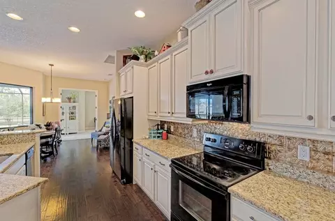 16206 29th Ct E, Parrish, FL 34219 photo 15
