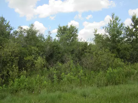 20868 NW 284th St, Okeechobee, FL 34972 photo 2