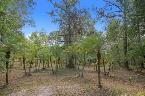 18675 134th Way N, Jupiter, FL 33478 photo 33