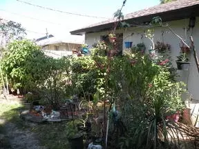 5950 SE Wilsie Dr, Stuart, FL 34997 photo 3