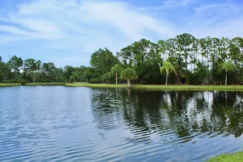 3787 SE Bluebill Pl, Stuart, FL 34997 photo 45